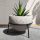  Dekorn virágcserép 14 cm x 14 x 12 cm beton