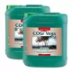  Canna COGr Vega A+B 5L