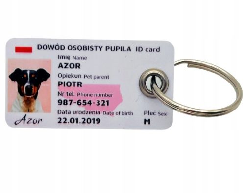 Személyi igazolvány egy macska kutya névjegykártya címéhez
