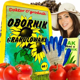  SZARVASMARHA TRÁGYA PARADICSOMHOZ ZÖLDSÉG TRÁGYA +