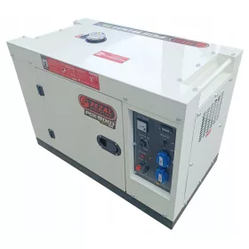 Hordozható egyfázisú Pezal 6000 W dízel generátor