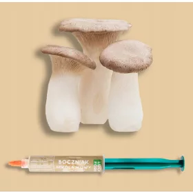  LENGYEL OSZTRIMUSA - Folyékony micélium 10 ML