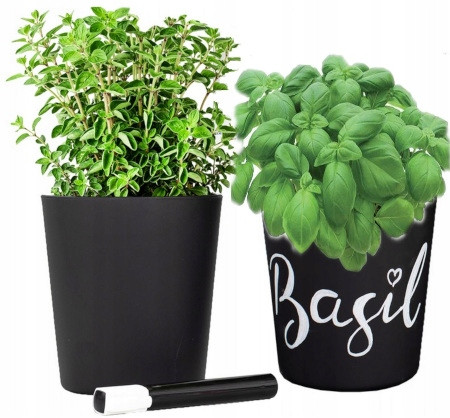 Virágcserepek - Trend Glass virágcserép 12,5 cm x 12,5 x 13,5 cm átmérő 12,5 cm üveg fekete