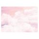 Falikép SKY CLOUDS Girl Pink 416x254