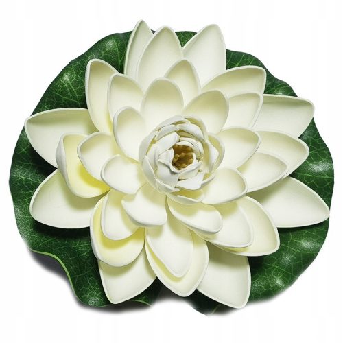  Deep Aqua Lily for a Pond, fehér, 28 cm