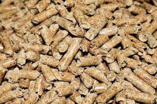 Alom nyulaknak és kis rágcsálóknak - CARE + Nyúl Junior Karma nyulakhoz 1,5 kg