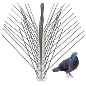 Az egér ragasztó csapdába esik egy nagy széf