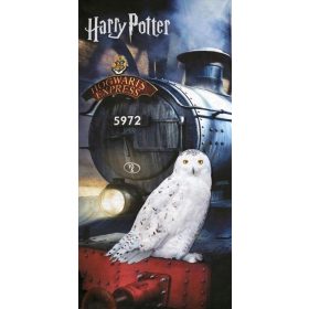   Törölköző - STRANDTÖRLŐ 70x140 PAMUT ÚSZÓTÖLÖKÖDŐ