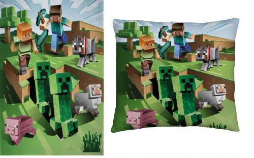 Baba takaró - Gyapjú takaró 100x150 és minecraft kúszónövény párna