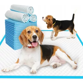   Higiéniai kellékek kutyáknak - A kutya szőnyegek alvók megtanulják pisilni 40x60 100dbs