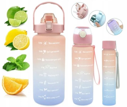 Shaker, edzőtermi palack - VIZES PALAC MOTIVÁCIÓS MÉRŐVEL, 2 LITERES
