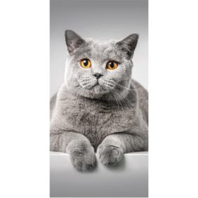   Törölköző - Nagy törölköző fürdő tengerparti macska macska 140x70