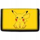 Tolltartó az iskolába - Mappa ceruza tok, összecsukható kemény pokemon picacz