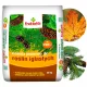  Több összetevős műtrágya Grupa Inco granulátum 25 kg 25 l