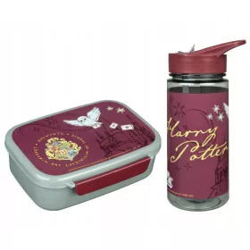   Tizedik doboz, üveg - Reggeli és vizes palack Harry Potter doboz