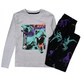   Gyermek pizsama, fürdőköpeny - Fiúk pizsama pamut jura 134/140 R317B