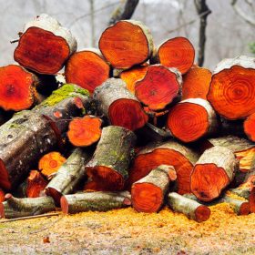  Égerfa TŰZGRILLEN DOHÁNYZÁSHOZ 50L XXL