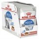 Konzerv macskáknak - ROYAL CANIN BELTÉRI ÉTEL SZÓZÁSBAN 12X85G MACSKÁNAK