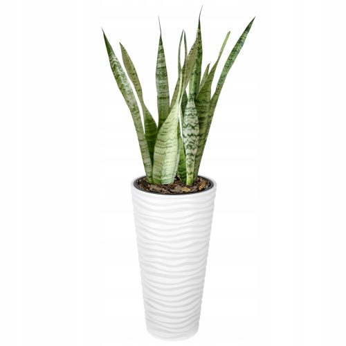  Forma-műanyag virágcserép 30 cm x 30 x 56 cm átmérő 30 cm műanyag fehér