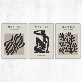   Poszter - 3 db-os plakátkészlet Matisse plakát galéria fal belsőépítészet nappali hálószoba botanika bézs emberek, növények, művészet keret nélkül 30 x 40 cm