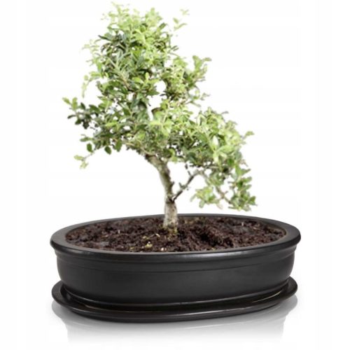  Polnix virágcserép 25 cm x 18 x 6 cm átmérő 18 cm kerámia grafit
