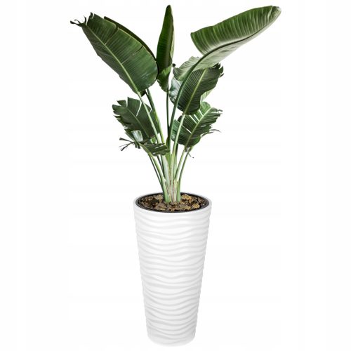  Forma-műanyag virágcserép 35 cm x 35 x 69 cm átmérő 35 cm műanyag fehér