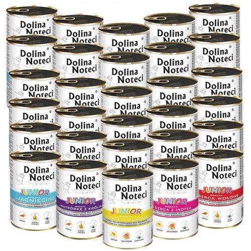  Dolina Noteci Junior MIX Smaków 30 x 400 g