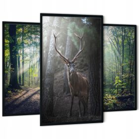    MODERN, 3 KÉPES KÉSZLET KERETES NAPPALI HÁLÓSZOBÁBAN VASTAG KERETES VIRÁGOK LUX