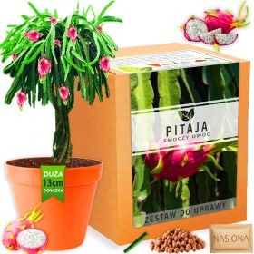    Pitaya növénytermesztő készlet DRAGON FRUIT magvak Cactus Ehető gyümölcs