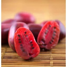  MINI KIWI Ken's Red nőivarú fajta SWEET FRUIT