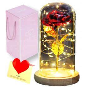   Virág dekoráció - ÖRÖK RÓZSA ÜVEGBEN, IZZÓ KARÁCSONYI AJÁNDÉK