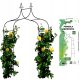 Pergola - Pergola fém GardenLine ív 240 cm