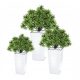  Prosperplast virágcserép 19,5 cm x 19,5 x 37,5 cm átmérő 19,5 cm műanyag fehér + 2 egyéb termék