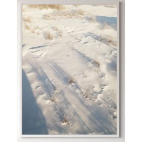   Poszter - Poszter Természet - Tundra tájak, növények keret nélkül 70 x 100 cm