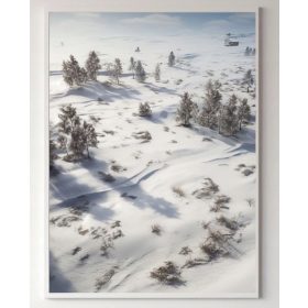   Poszter - Poszter Természet - Téli vadon tájak, növények keret nélkül 59,4 x 84,1 cm