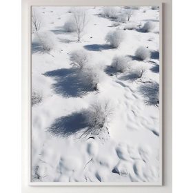   Poszter - Poszter Természet - Fehérligeti tájak, növények keret nélkül 70 x 100 cm