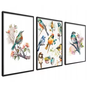   Poszter - Plakát Poszterek keret nélkül 30x40cm növények, művészet, állatok keret nélkül 30 x 40 cm