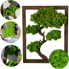   Falfestészet - MOHA KÉP BONSAI FA MOHA KÉPFA AJÁNDÉKBA 30 X 22