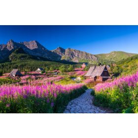   FOTÓTAPÉTA HÁLÓSZOBÁBA, NAPPALIBA, GASIENICOWA TEREMBE TATRAS TAPÉTA FAL 390x254