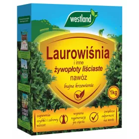    Műtrágya cseresznye babérhoz és sövényekhez Westland granulátum 1 kg