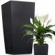  Deco4Home virágcserép 20 cm x 20 x 37,5 cm műanyag antracit