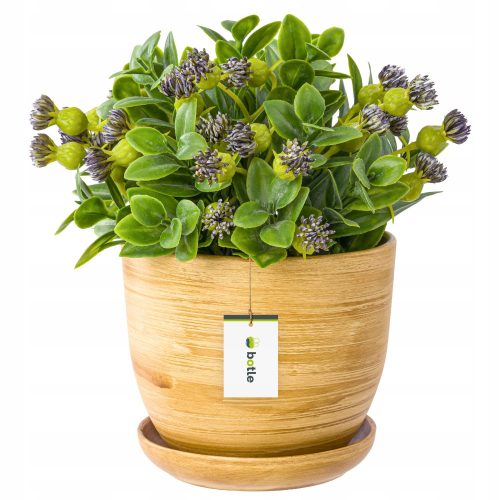  Palack virágcserép 30,5 cm x 30,5 x 25 cm átmérő 305 cm kerámia sárga és arany árnyalatai