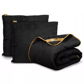    EGÉSZSEZONOS ANTIALLERGIA PANAP 200x220 LÉLEGZŐ +2 PÁRNA SZETT PL