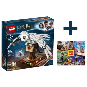  LEGO Harry Potter 75979 Hedwig + LEGO KATALÓGUS 2024 ÚJ