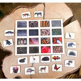    Az állat felismerése, Montessori-rejtvény, logikus gondolkodás