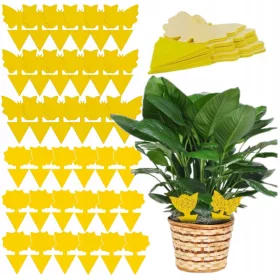    Lepk csótányok, kullancsok, szúnyogok, lepkék, hangyák, legyek, darazsak, pókok, bolhák, poloskák, ezüsthal jüanxin) 0,3 kg