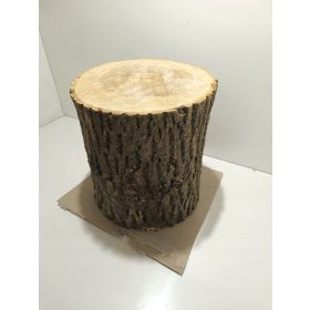    HARISTUNK KÓRISTÖMB, NAGYON KEMÉNY, EGÉSZSÉGES MÉRETE. L 24-31 cm