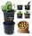  Prosperplast virágcserép 39,2 cm x 39,2 x 31,6 cm átmérő 39,2 cm műanyag fekete