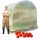  Alistan Agro üvegház 3 x 2 m x 200 cm