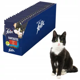    PURINA Felix Fantasztikus nedves táp macskáknak Marhahús 26x85g
